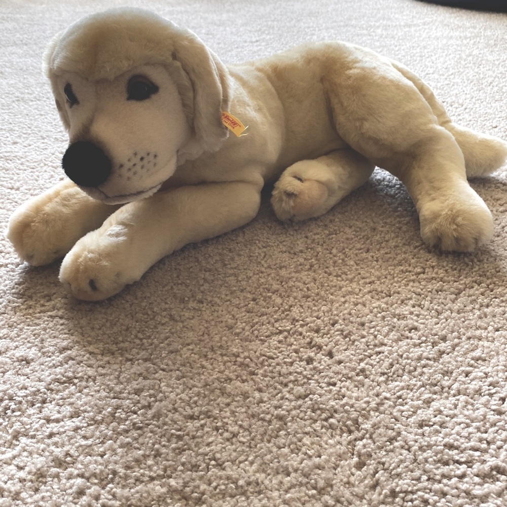 Steiff FAO Schwarz American Kennel Club plush - Labrador